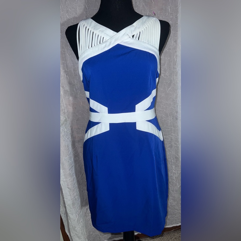 Blue and White Women's Dress